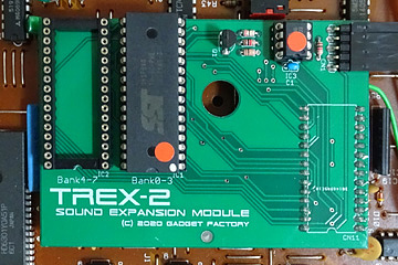 TREX-2