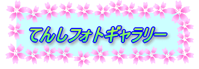 �Ă񂵃t�H�g�M�������[