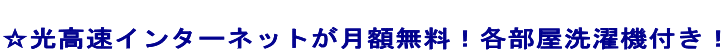  ☆光高速インターネットが月額無料！各部屋洗濯機付き！