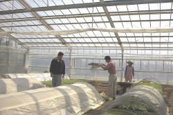 �~�j�n�E�X�̎ʐ^